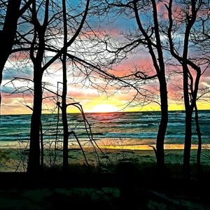 Meet your Posher, Ann